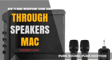 Mac Audio Setup: Route Microphone Sound to Speakers Easily