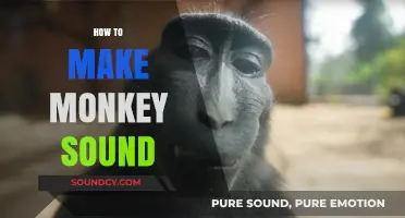 Mastering Monkey Sounds: A Step-by-Step Guide to Imitating Primates