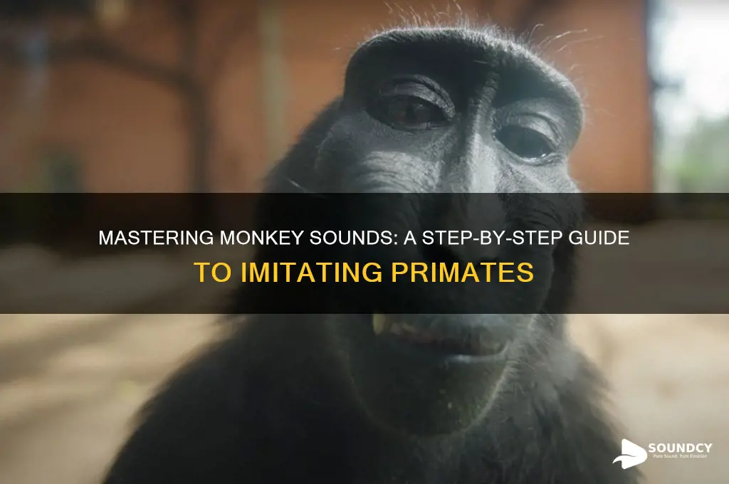 how to make monkey sound