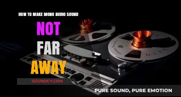 Enhance Mono Audio: Techniques to Bring Distant Sound Closer