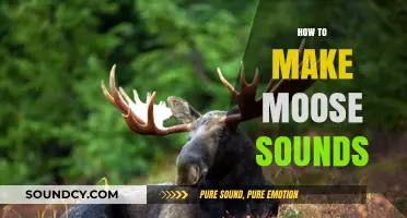 Mastering the Art of Moose Calls: Techniques for Authentic Sounds