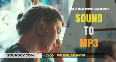 Mastering Muffle and Crackle: A Guide to Creating Unique MP3 Sounds