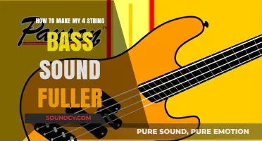 Enhance Your 4-String Bass Tone: Tips for a Richer, Fuller Sound