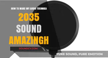 Enhance Your Audio Technica AT2035: Tips for Amazing Sound Quality