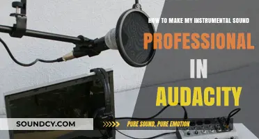 Mastering Audacity: Pro Tips for Polished Instrumental Productions
