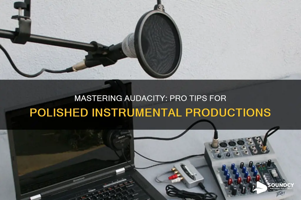 how to make my instrumental sound professional in audacity