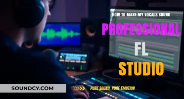 Master Professional Vocals in FL Studio: Essential Tips & Techniques