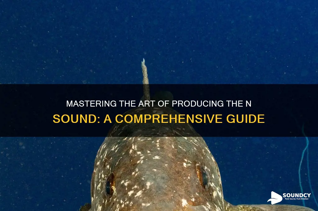how to make n sound