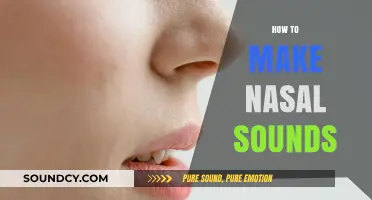 Mastering Nasal Sounds: Techniques for Clear and Natural Pronunciation