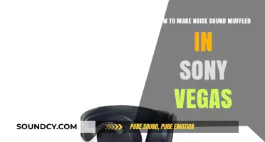 Muffle Noise in Sony Vegas: Simple Audio Editing Techniques