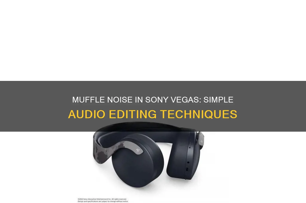 how to make noise sound muffled in sony vegas