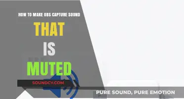 Fix OBS Muted Audio: Capture Sound Even When Silenced