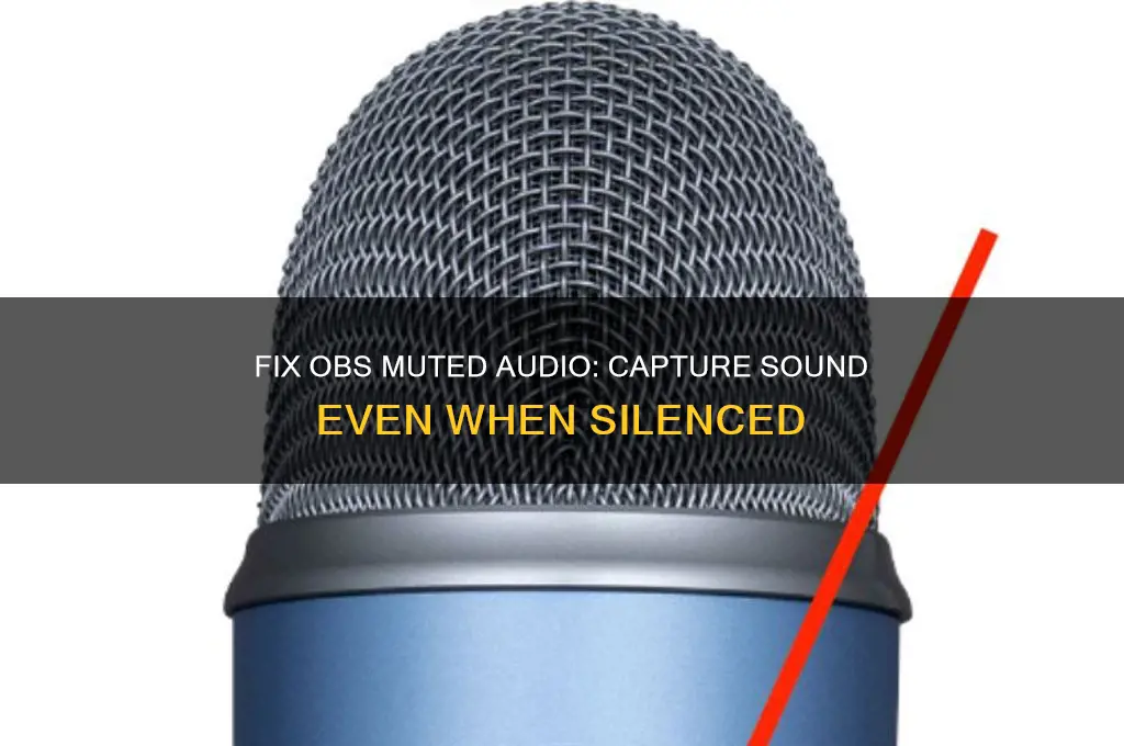 how to make obs capture sound that is muted