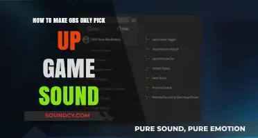 Master OBS Settings: Capture Game Audio Only, No Background Noise