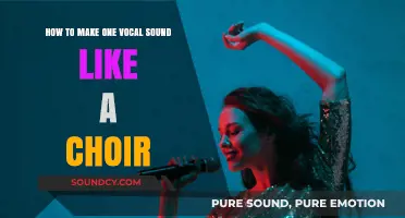 Transforming a Single Voice into a Majestic Choir: Techniques and Tools