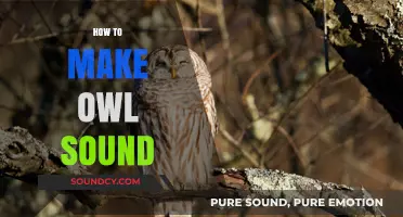 Mastering the Art of Mimicking Owl Calls: A Step-by-Step Guide