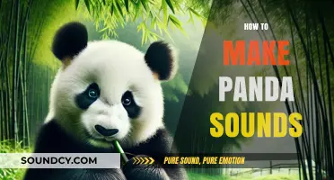 Mastering the Art of Panda Sounds: A Step-by-Step Guide