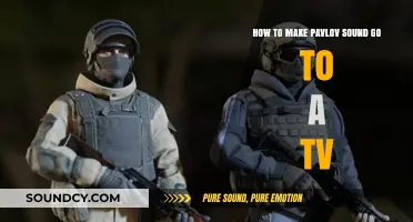 Syncing Pavlov Sound to Your TV: A Step-by-Step Guide