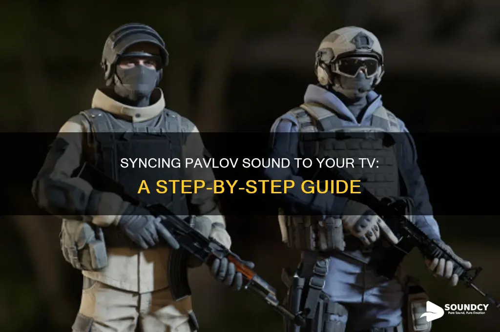 how to make pavlov sound go to a tv