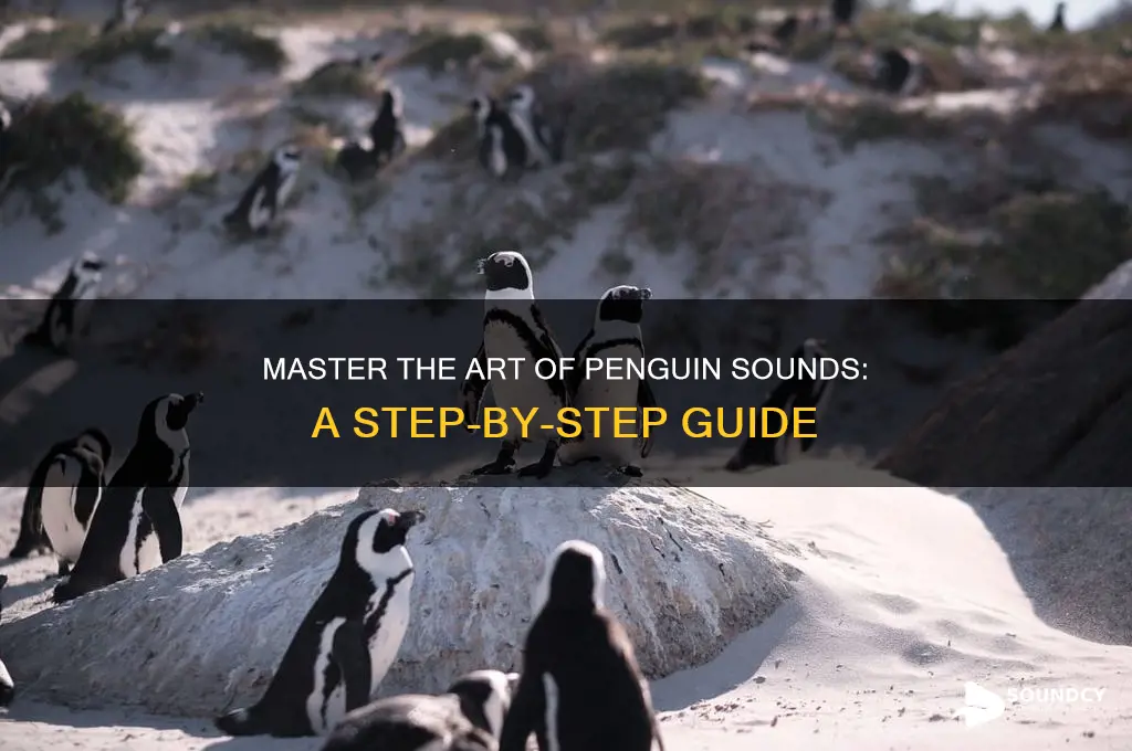 how to make penguin sounds