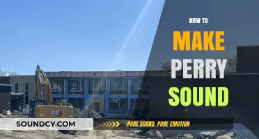 Crafting Perry Sound: A Guide to Creating Its Unique Essence