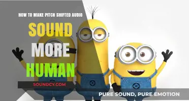 Enhance Pitch-Shifted Audio: Techniques for Natural, Human-Like Sound