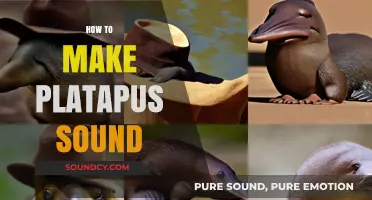 Mastering the Art of Creating a Platypus Sound: A Step-by-Step Guide