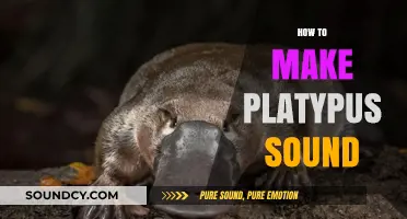 Mastering the Unique Platypus Call: A Step-by-Step Sound Guide