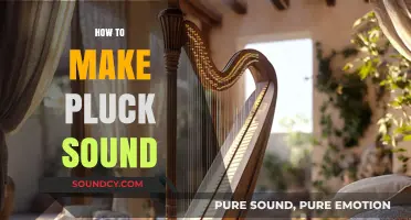 Mastering Pluck Sound: Techniques and Tips for Perfect Execution