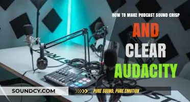 Crisp Podcast Audio: Mastering Clarity with Audacity Editing Techniques