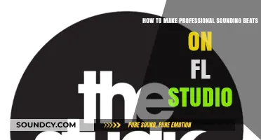 Mastering FL Studio: Crafting Professional Beats with Expert Techniques