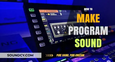 Mastering Program Sound: Essential Techniques for Clear and Engaging Audio