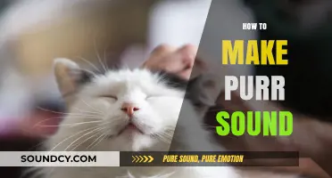 Mastering the Art of Making a Purr Sound: Tips and Techniques
