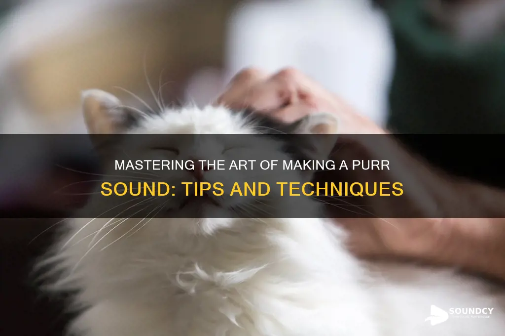 how to make purr sound