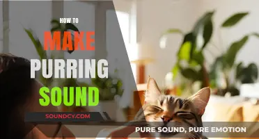 Master the Art of Making a Purring Sound: Easy Techniques
