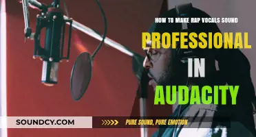Mastering Rap Vocals: Pro Tips for Audacity Mixing and Editing