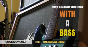 Unleash Your Creativity: Mastering Bizarre Bass Noises and Techniques