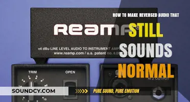 Mastering Reversed Audio: Techniques for Creating Normal-Sounding Effects