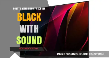Black Screen, Clear Sound: Mastering Roku TV Display Settings