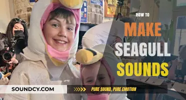 Mastering the Art of Mimicking Seagull Calls: A Step-by-Step Guide