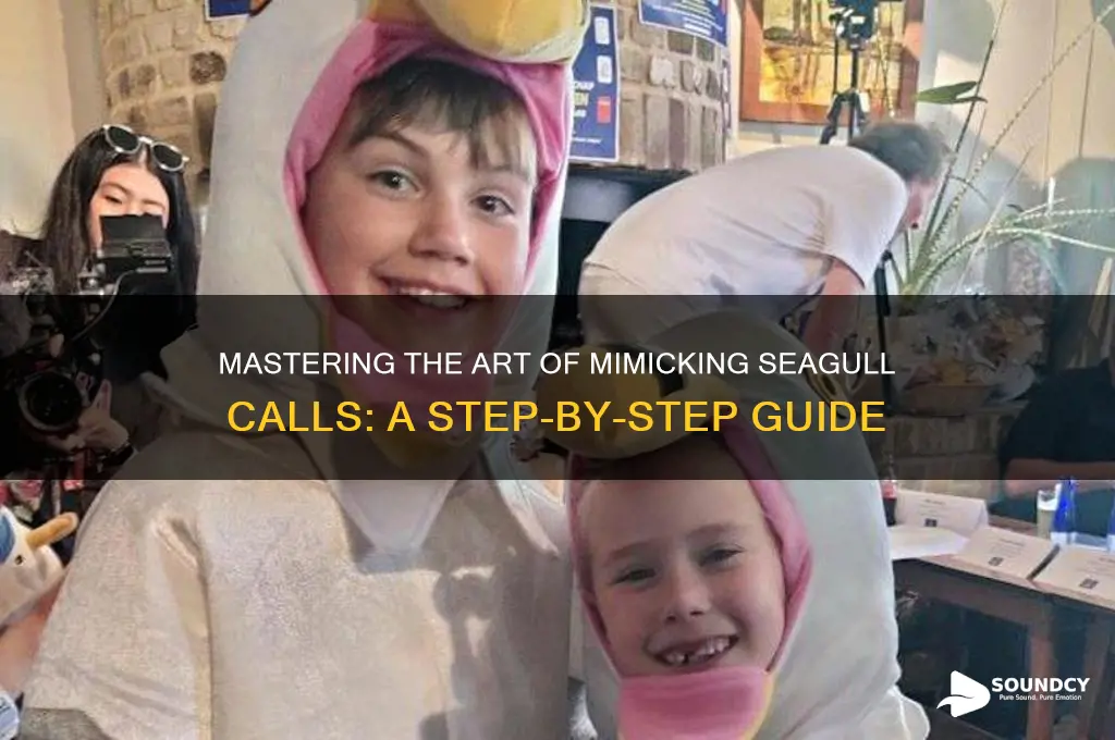 how to make seagull sounds