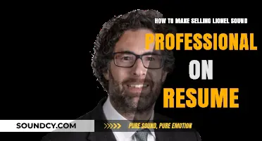 Crafting a Professional Resume: Showcasing Lionel Sound Expertise Effectively
