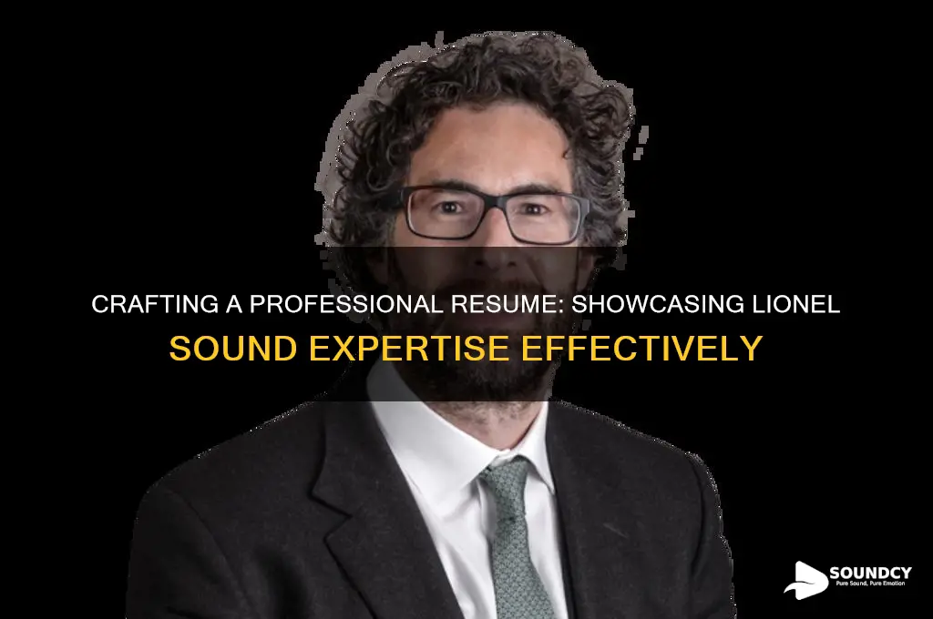 how to make selling lionel sound professional on resume