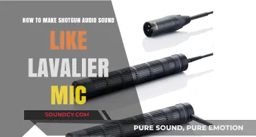 Transform Shotgun Audio to Lavalier Quality: Pro Tips and Techniques
