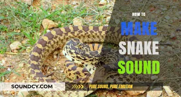 Mastering Snake Sounds: Techniques to Create Realistic Hiss and Rattle Effects