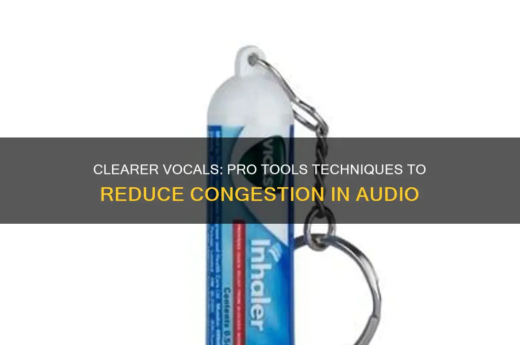 how to make someonen sound less congested in protools