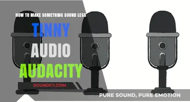 Enhance Your Audio: Fixing Tinny Sound in Audacity Easily