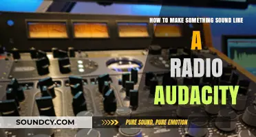 Mastering Radio-Style Audio: Audacity Tips for Professional Sound Effects