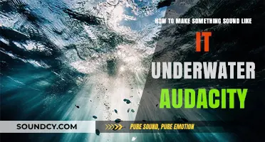 Create Submerged Audio Effects: Underwater Sound Techniques in Audacity