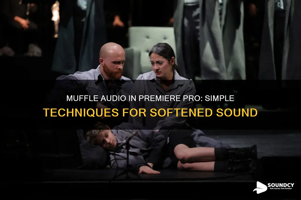 how to make something sound muffled in premiere pro
